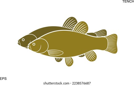 Tench Logo. Einziger Zahn auf weißem Hintergrund