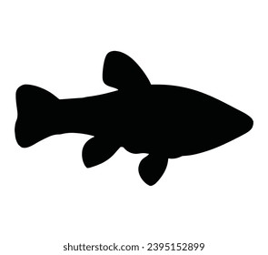 Tench logo. Isolated tench on white background.