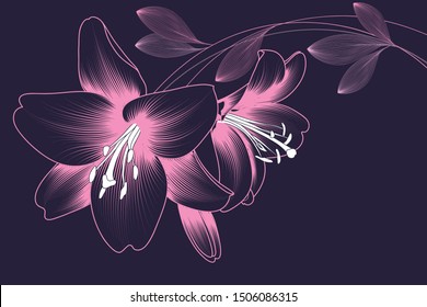 Tender abstract background with pink flowers of lilies on a purple background.