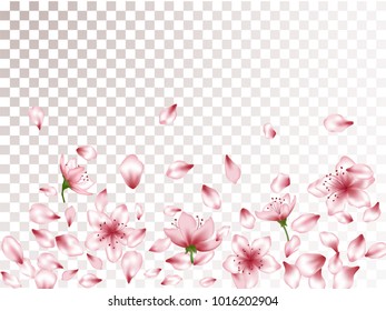 Tender apricot or japanese cherry blossom petals isolated, flower elements falling vector illustration. Isolated petals and pink flower vector elements falling on transparent background.