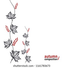 Tender autumnal composition with maple leaves and berries. Vector illustration of outline black tree branch isolated on white background.