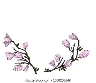 Tender branch of Magnolia. Vector illustration.