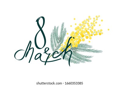 Tender branch of mimosa flower. Womens day poster, card. Vector realistic illustration.