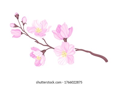 Tender Cherry Blossom Twig as Fragrant Seasonal Foliage with Pink Flowers Vector Illustration