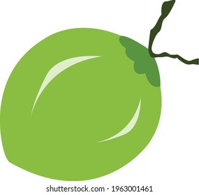 tender Coconut illustration for logo 