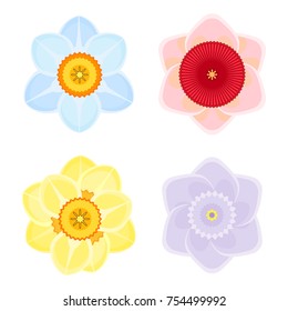 Tender daffodils of several colors beautiful open buds