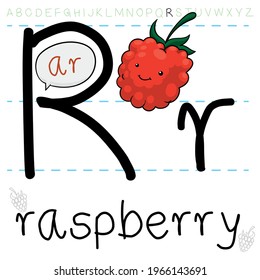 Tender and delicious raspberry, with tiny leaves on its head, ready for grammar lesson of letter 'R' and its pronunciation in English.