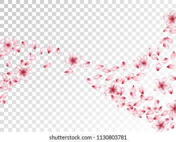 Tender flower petals flying vector background. Spring blossom elements, cherry, peach or apple bloom petals falling windy vector design.