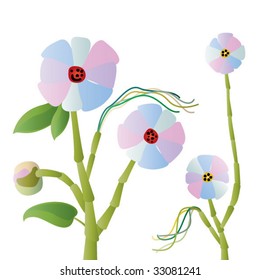 tender flowers on a white background