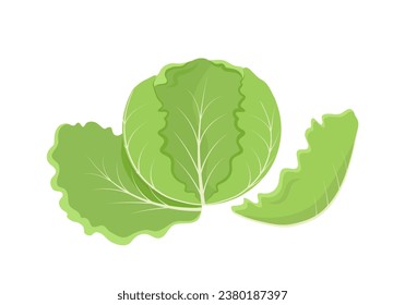 Tender green young Iceberg lettuce. Vector icon. Flat design.