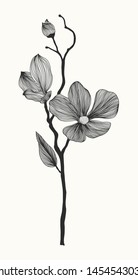 Tender lines flower. Openwork floral pattern with branch. Flower lace pattern. Doodle. Abstract vector illustration.