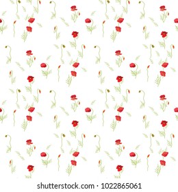 A tender pattern of red poppies on a white background. Vector illustration