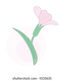 a tender pink flower