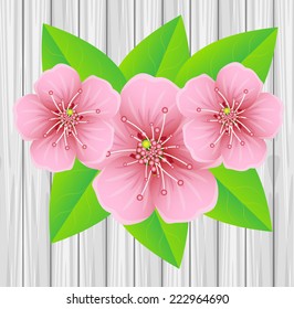 tender pink flowers on a background wooden texture,vector illustration