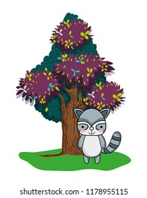 tender raccoon wild animal and tree