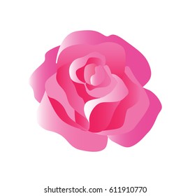 Tender Rose Blossom in Balanced Hues of Red, Pink and White - Vector Isolated on White Background