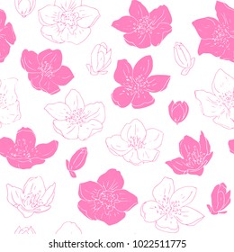 Tender seamless pattern of the jasmine flowers. Seamless Floral Pattern.  Summer and Spring. Vector sketch botanical seamless with hand drawn flower in vintage style