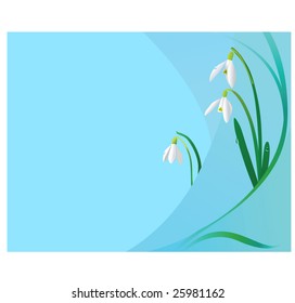Tender snowdrops background with copy space