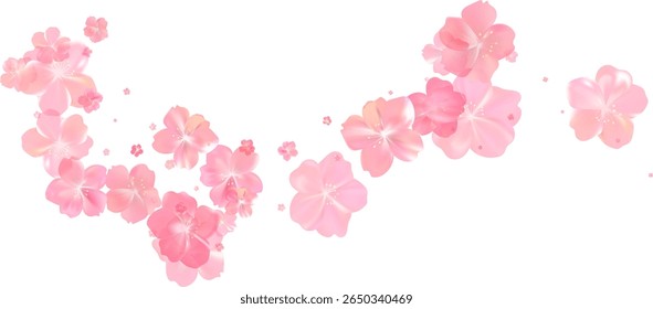 Tender spring pink flower flow. Delicate scent of woman perfume. Aroma of cherry blossoms. Floral air vortex. Magic spring dust petals splash. Background for gift, card, package. Vector illustration.