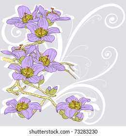 tender twig blossoming orchids on a light background