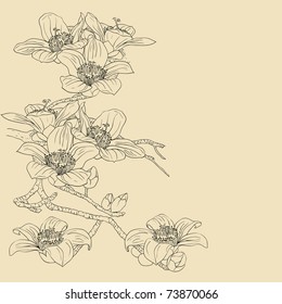 tender twig blossoming orchids on a light background
