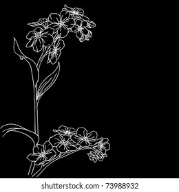 tender twig blossoming orchids on a background
