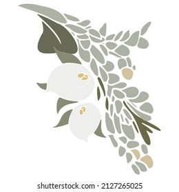Tender vector flat illustration with a bouquet of flowers. Spring bouquet with calla lily plant and eucalyptus. Bouquet for women on International Women's Day, Wedding and Mother's Day.