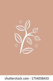 Bietet Vektorgrafik mit Blumenelementen. Element für das Logo. Design für Logo, Shop, Blumensalon, Postkarte, Druck und Web.