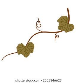 Tendril of a pumpkin plant vector image, pumpkin plant leaf tendrils flat illustration, pumpkin leaves clip art, tropical nature elements