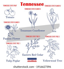 Tennessee. Set of USA official state symbols. Vector hand drawn illustration
