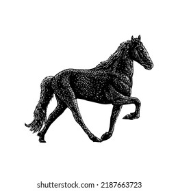 Tennessee Walking Horse hand drawing vector illustration isolated on white background