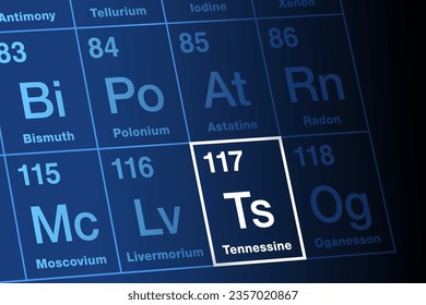 Tennessine on periodic table of elements. Extremely radioactive, superheavy, synthetic transactinide element. Symbol Ts, atomic number 117, named after Tennessee, a state of the United States. Vector.