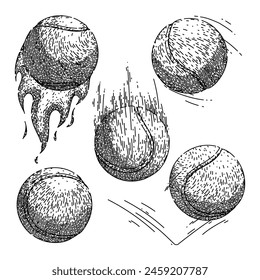 tennis ball set hand drawn. racket green, tenis object, macro view tennis ball vector sketch. isolated black illustration