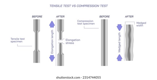 Ilustración vectorial de prueba de tracción vs compresión. Prueba de prolongación frente a prueba de matrimonio. Especie utilizada para la tensión de tracción o tensión de la barra de acero al carbono y el ensayo de compresión. rebaja la fuerza.