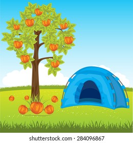The Tent on year meadow under aple tree.Vector illustration