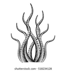 Tentacle Illustration