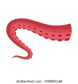 Tentacle of octopus vector cartoon icon. Vector illustration octopus on white background. Isolated cartoon illustration icon of tentacle .