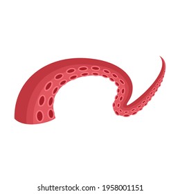 Tentacle of octopus vector cartoon icon. Vector illustration octopus on white background. Isolated cartoon illustration icon of tentacle .