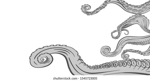 tentacles of an octopus. Hand drawn vector. isolated on white background.design with copy space.