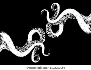 tentacles octopus on black background
