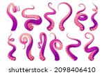 Tentacles of octopus, squid or kraken. Vector cartoon set of scary sea monster arms, purple and pink giant octopus tentacles with suckers. Cthulhu hands and legs isolated on white background