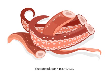  Tentacles of squid or arms of octopus. Vector cartoon illustration on white 