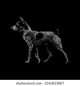 tenterfield terrier mão desenhando vetor isolado no fundo preto.