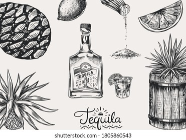 Tequila background. Glass bottle, shot with lime, blue agave Plant and barrel. Retro poster or banner. Engraved hand drawn vintage sketch. Woodcut style. Vector illustration.