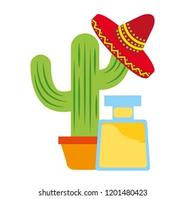 tequila bottle cactus and hat drink mexican