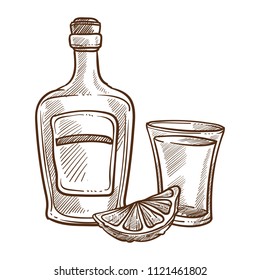 Tequila bottle and glass with lime sketch vector illustration