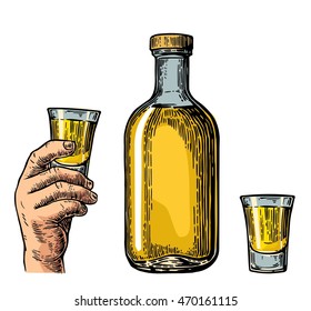 Tequila bottle and hand holding glass. Vintage color vector engraving illustration for label, poster, invitation to party and birthday. Isolated on white background