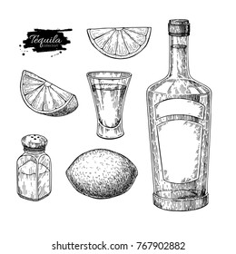 Tequila bottle, salt shaker and shot glass with lime. Mexican alcohol drink vector drawing Sketch of shot glass cocktail with citrus fruit slice Engraved illustration for label, bar or restaurant menu