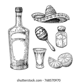 Tequila bottle, salt shaker and shot glass with lime. Mexican alcohol drink vector drawing. Sketch of shot glass cocktail with citrus slice. Engraved illustration for label, bar or restaurant menu