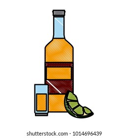 Tequila bottle and shot